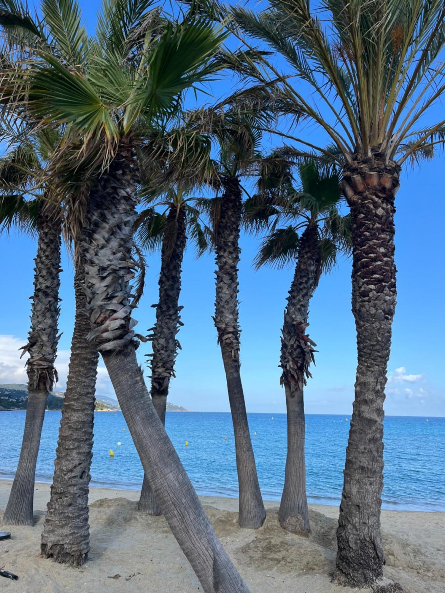 Le Lavandou St Clair Buitenkant foto